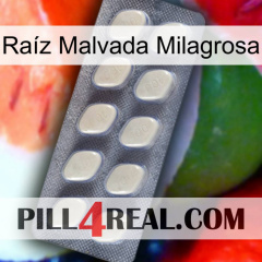 Raíz Malvada Milagrosa 08